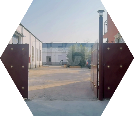 �¿ƏS�^(q��)���T